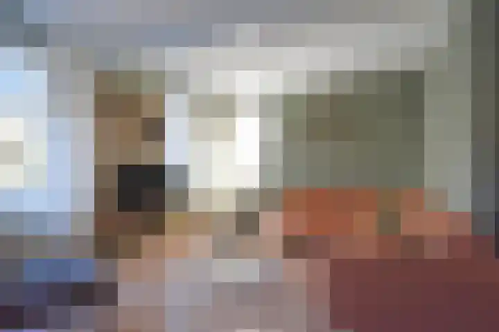 Idsingha 9 Feanwâlden thumbnail 18
