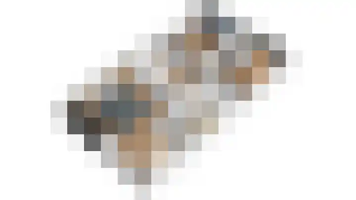 Idsingha 9 Feanwâlden thumbnail 29