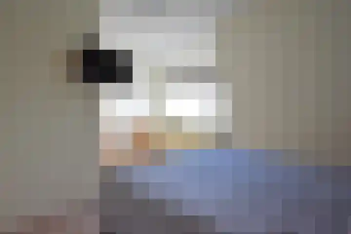 Idsingha 9 Feanwâlden thumbnail 37