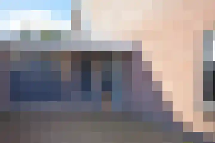 Idsingha 9 Feanwâlden thumbnail 5