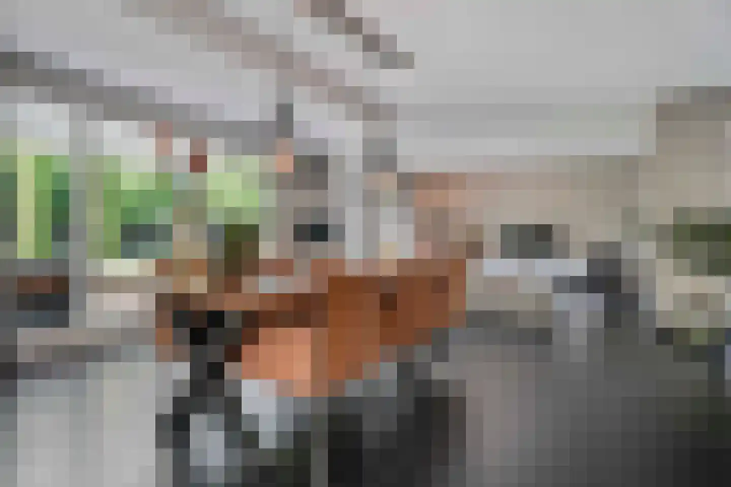Idsteinlaan 16 Vlijmen thumbnail 10