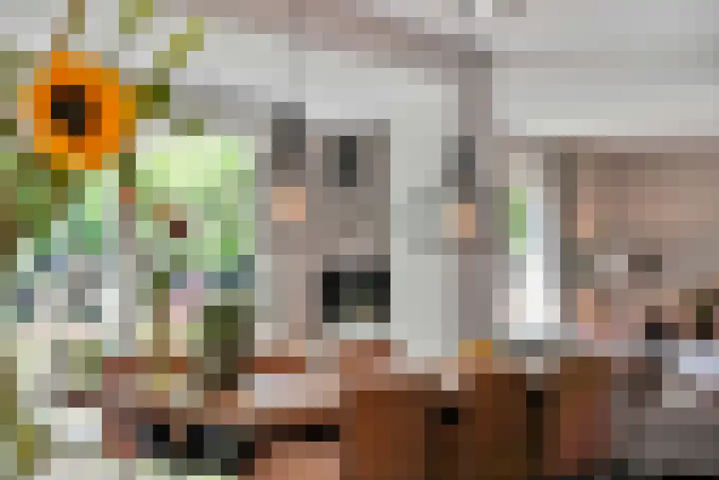 Idsteinlaan 16 Vlijmen thumbnail 12
