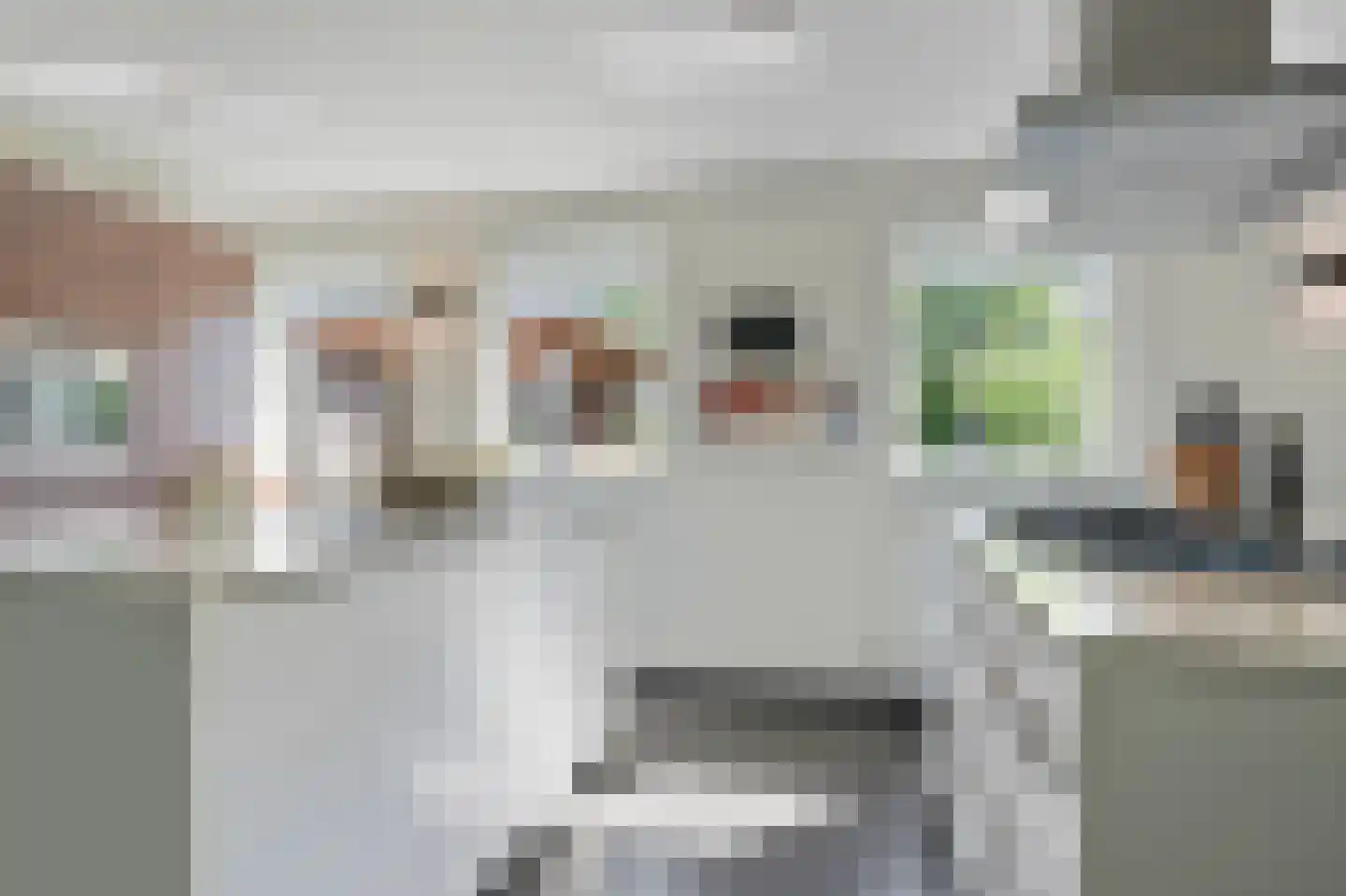 Idsteinlaan 16 Vlijmen thumbnail 17