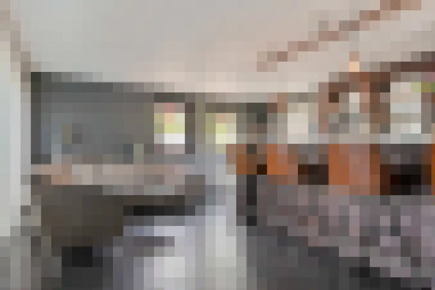 Idsteinlaan 16 Vlijmen thumbnail 20