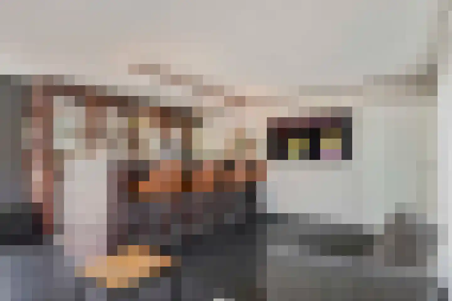 Idsteinlaan 16 Vlijmen thumbnail 21