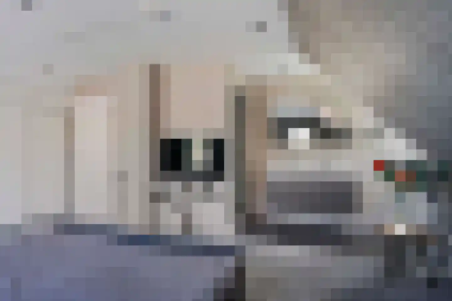 Idsteinlaan 16 Vlijmen thumbnail 29