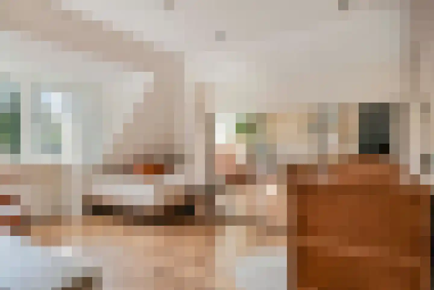 Idsteinlaan 16 Vlijmen thumbnail 33