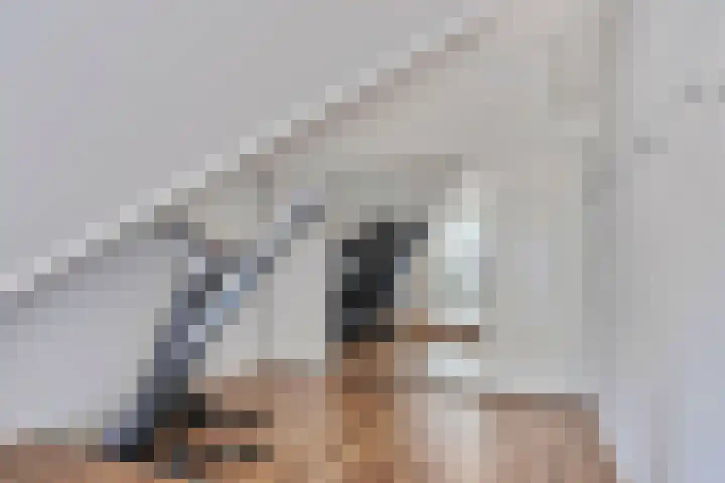 Idsteinlaan 16 Vlijmen thumbnail 34