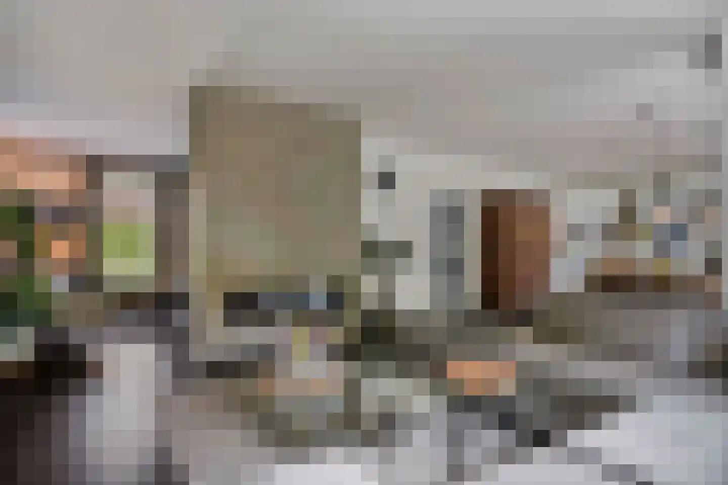 Idsteinlaan 16 Vlijmen thumbnail 4