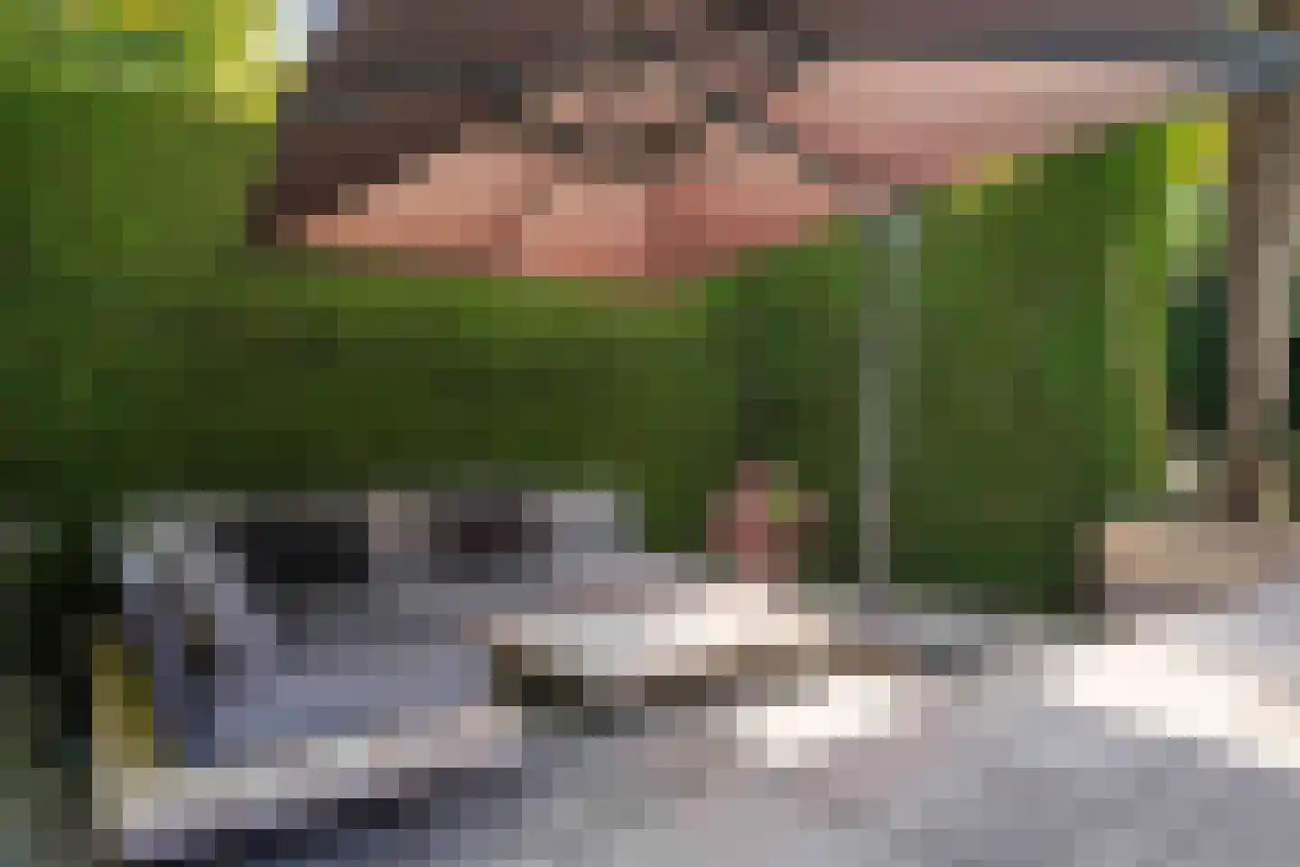 Idsteinlaan 16 Vlijmen thumbnail 46