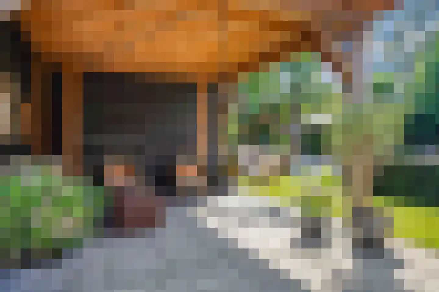 Idsteinlaan 16 Vlijmen thumbnail 47