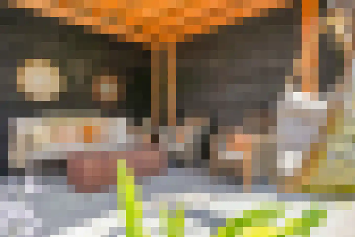 Idsteinlaan 16 Vlijmen thumbnail 48