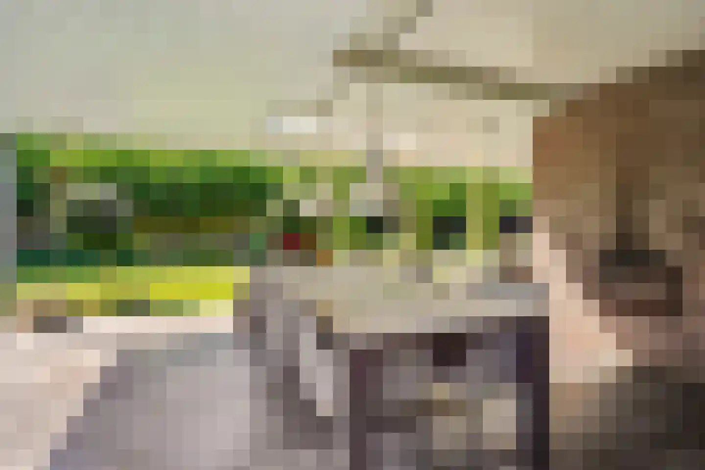 Idsteinlaan 16 Vlijmen thumbnail 52