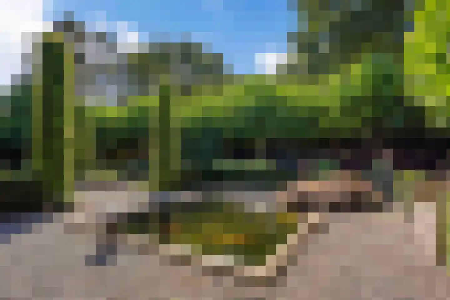 Idsteinlaan 16 Vlijmen thumbnail 55