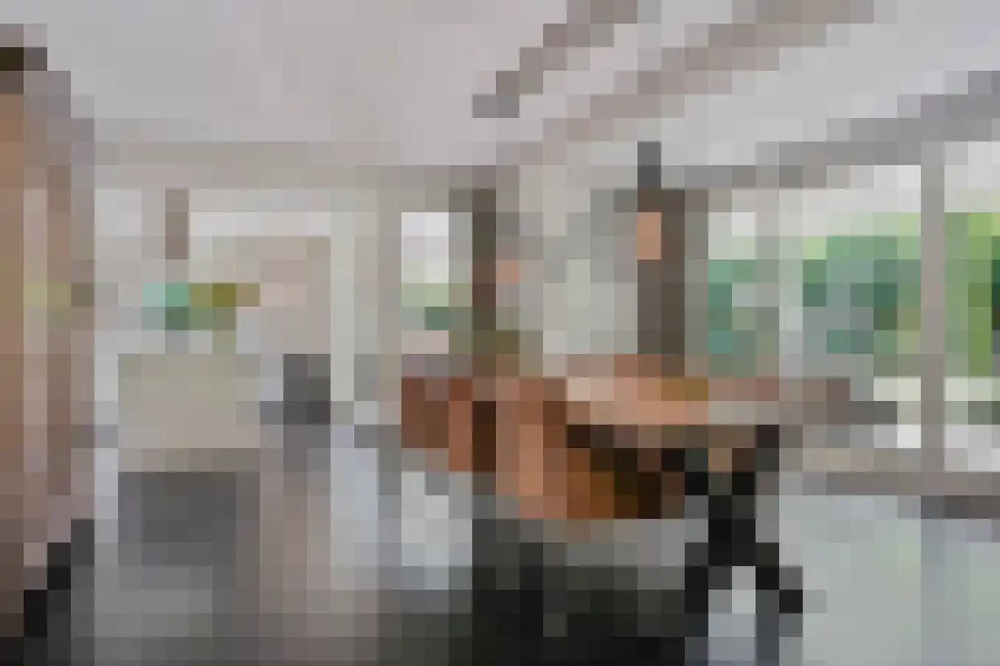 Idsteinlaan 16 Vlijmen thumbnail 9