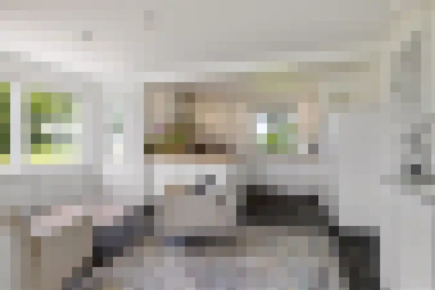 Idzardaweg 104 Ter Idzard thumbnail 14