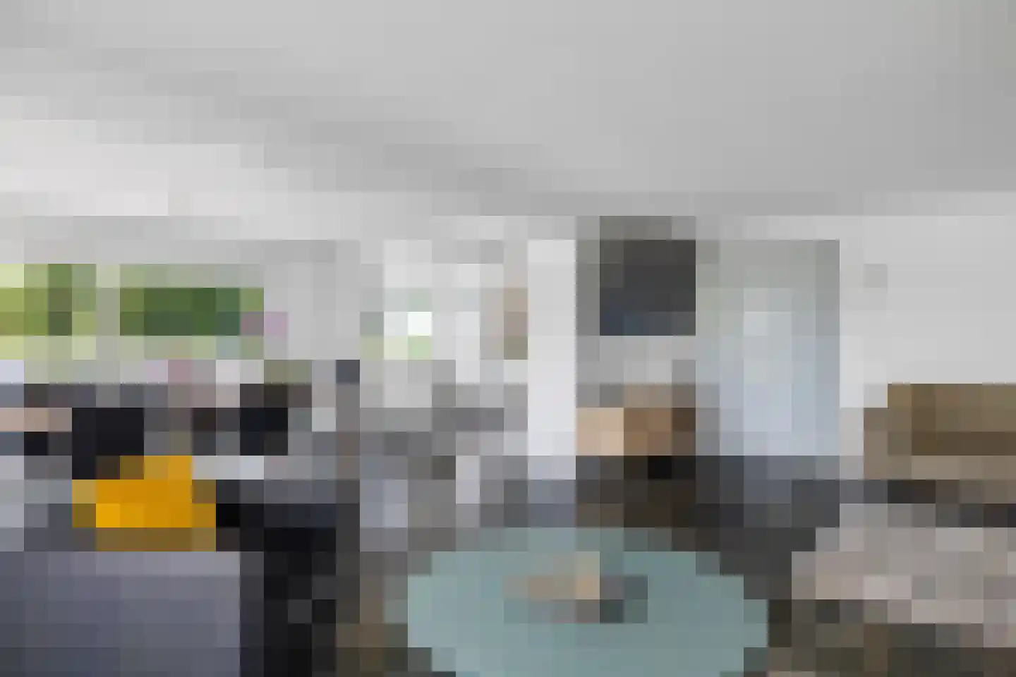 Idzardaweg 104 Ter Idzard thumbnail 17