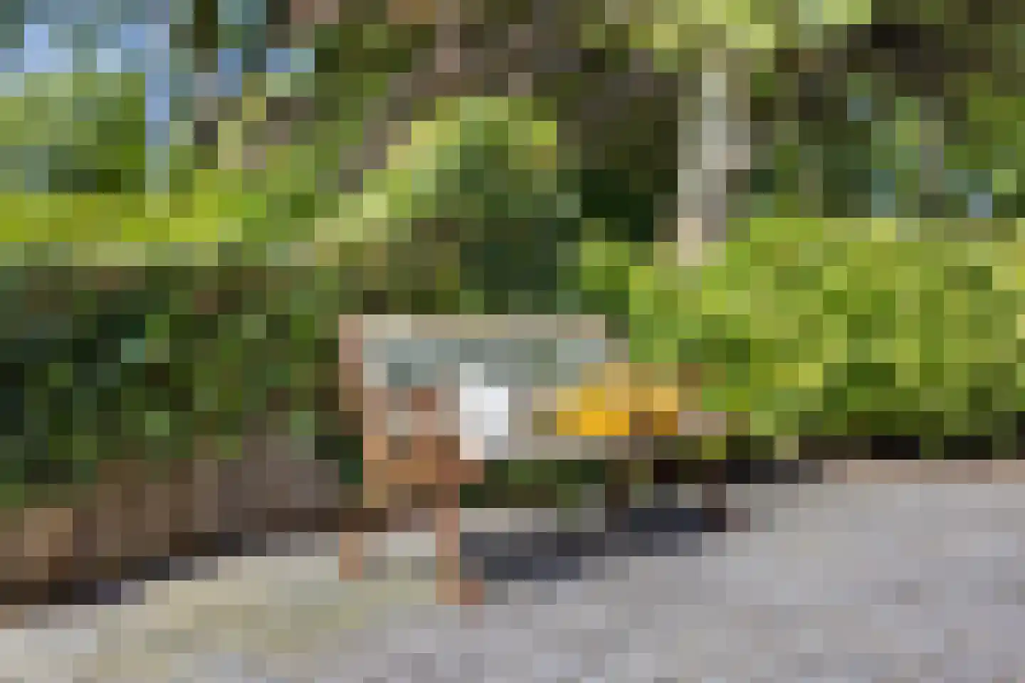 Idzardaweg 104 Ter Idzard thumbnail 4