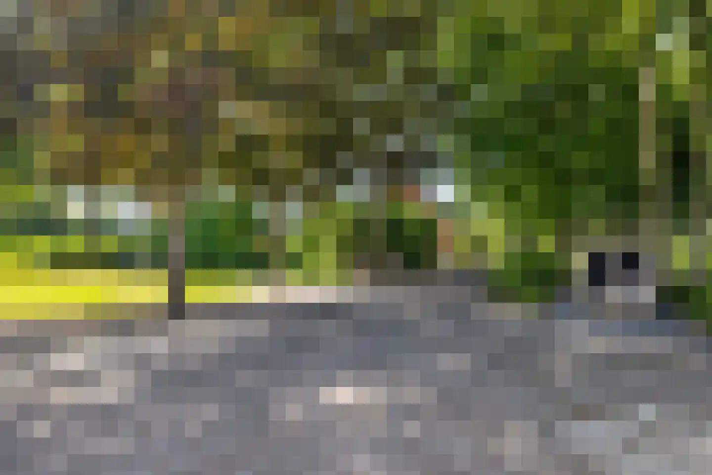 Idzardaweg 104 Ter Idzard thumbnail 6