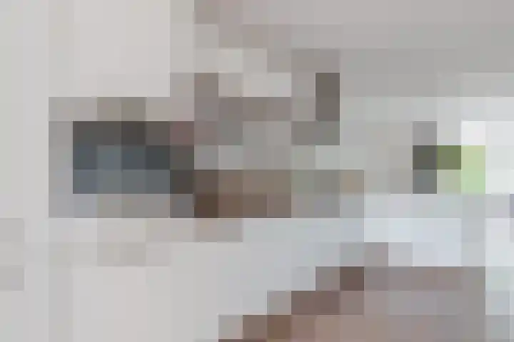 Idzardaweg 62 Ter Idzard thumbnail 16