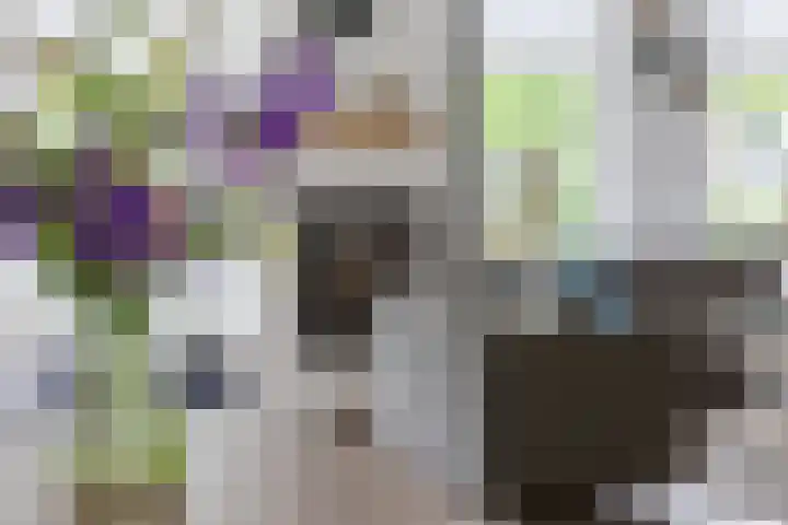Idzardaweg 62 Ter Idzard thumbnail 18