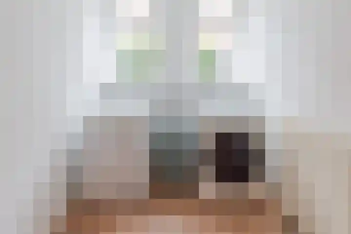 Idzardaweg 62 Ter Idzard thumbnail 25