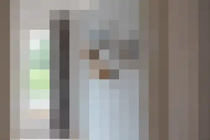 Idzardaweg 62 Ter Idzard thumbnail 30