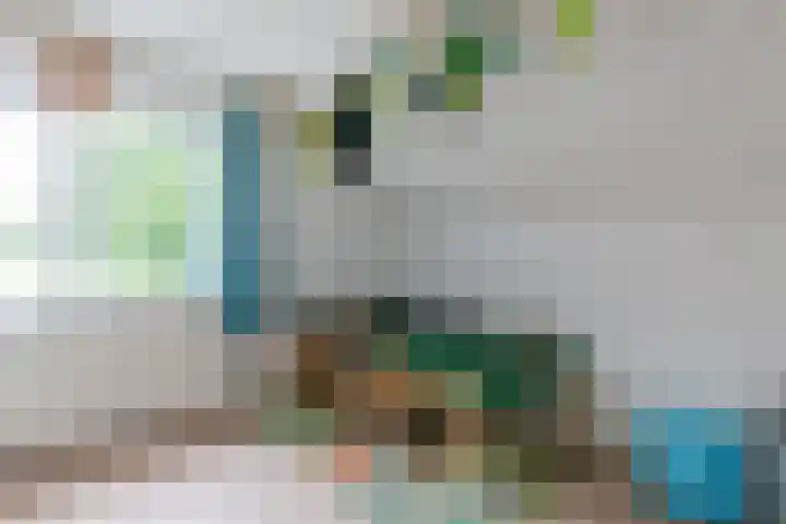 Idzardaweg 62 Ter Idzard thumbnail 33