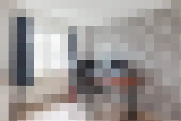 Idzardaweg 62 Ter Idzard thumbnail 37