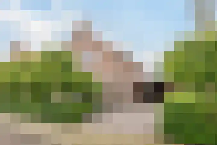 Idzardaweg 62 Ter Idzard thumbnail 4