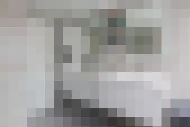 Idzardaweg 62 Ter Idzard thumbnail 41