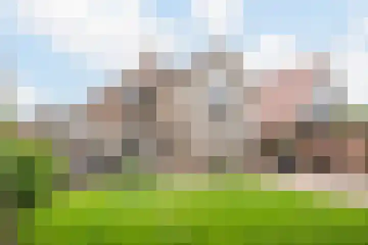 Idzardaweg 62 Ter Idzard thumbnail 48