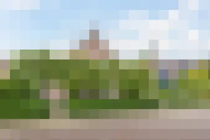 Idzardaweg 62 Ter Idzard thumbnail 5