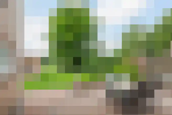 Idzardaweg 62 Ter Idzard thumbnail 51