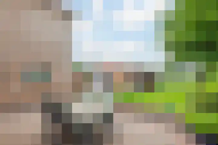 Idzardaweg 62 Ter Idzard thumbnail 52