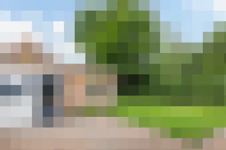Idzardaweg 62 Ter Idzard thumbnail 53