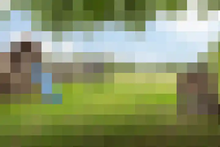 Idzardaweg 62 Ter Idzard thumbnail 54