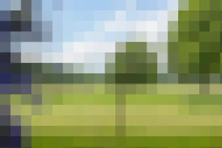Idzardaweg 62 Ter Idzard thumbnail 55