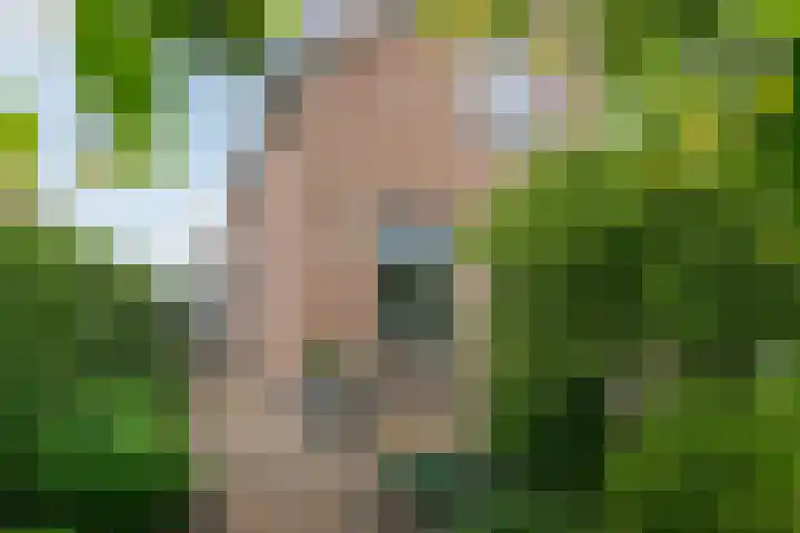 Idzardaweg 62 Ter Idzard thumbnail 6