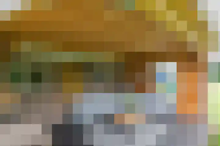 Idzardaweg 62 Ter Idzard thumbnail 61