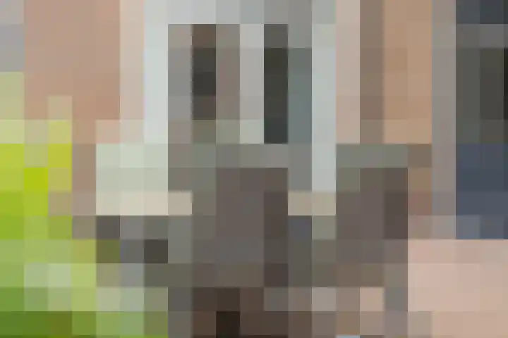 Idzardaweg 62 Ter Idzard thumbnail 62