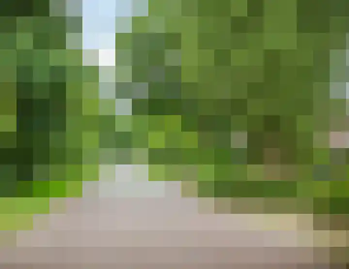 Idzardaweg 62 Ter Idzard thumbnail 63