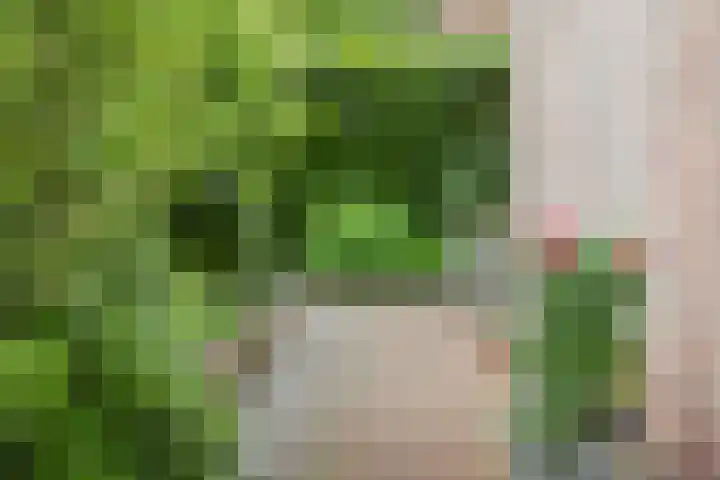 Idzardaweg 62 Ter Idzard thumbnail 7