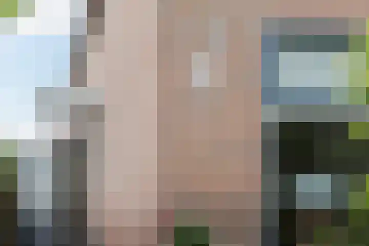 Idzardaweg 62 Ter Idzard thumbnail 8