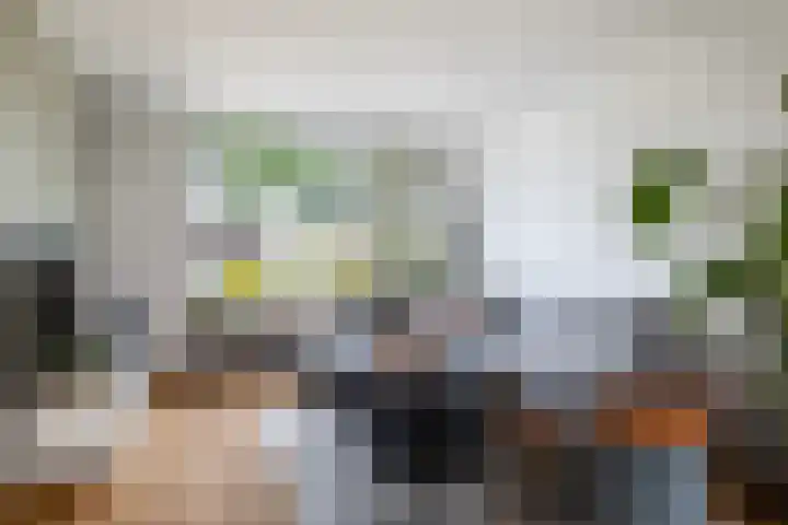 Idzerdastins 22 Leeuwarden thumbnail 12