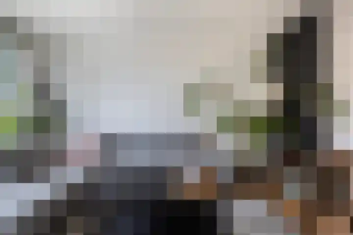 Idzerdastins 22 Leeuwarden thumbnail 13