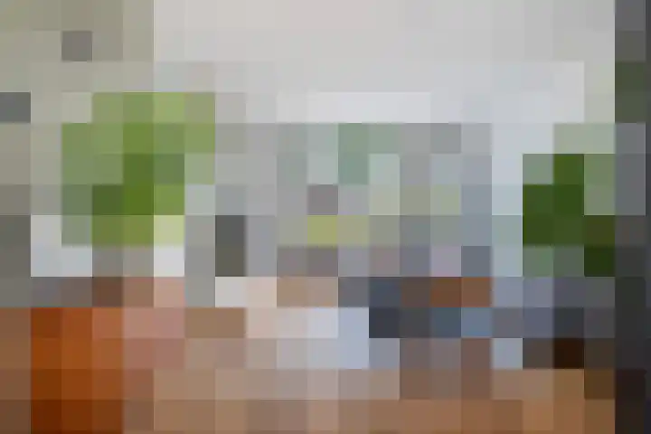 Idzerdastins 22 Leeuwarden thumbnail 14