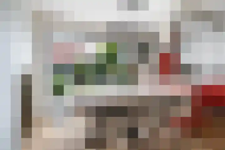 Idzerdastins 22 Leeuwarden thumbnail 15