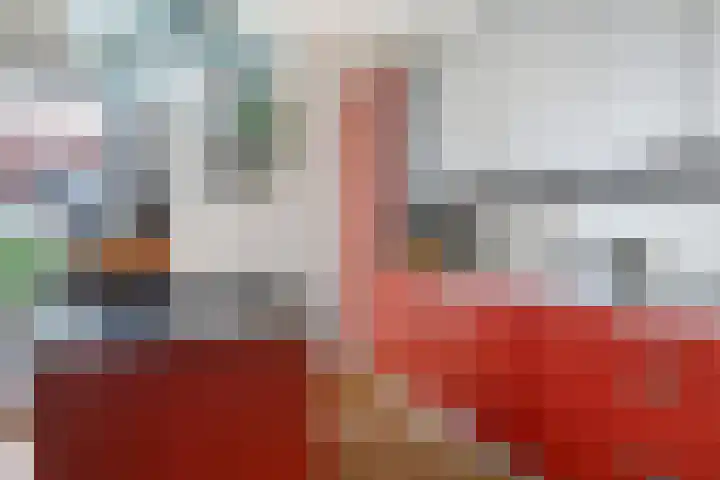 Idzerdastins 22 Leeuwarden thumbnail 18