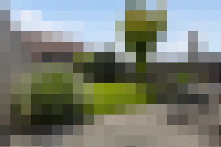 Idzerdastins 22 Leeuwarden thumbnail 20